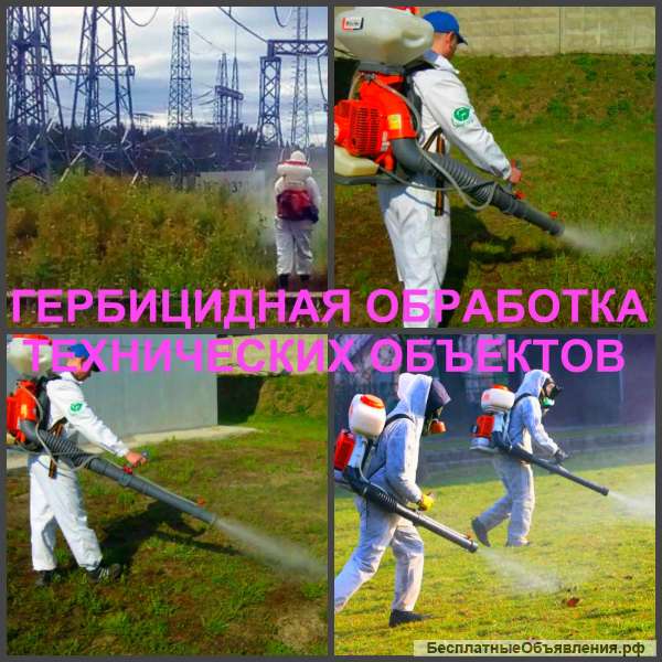 Гербицидная обработка от сорняков. Уничтожение сорняка.