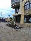 1к.кв. 53кв.м. 3959т.р.