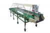 Стол ленточный инспекционный (сортировочный переборочный стол) для переборки картофеля, овощей, лука