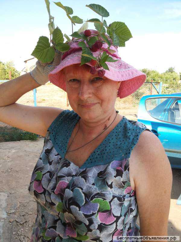 Саженцы ежевики, клубники, малины, смородины, крыжовника, калины, рябины, сирени, шиповника и