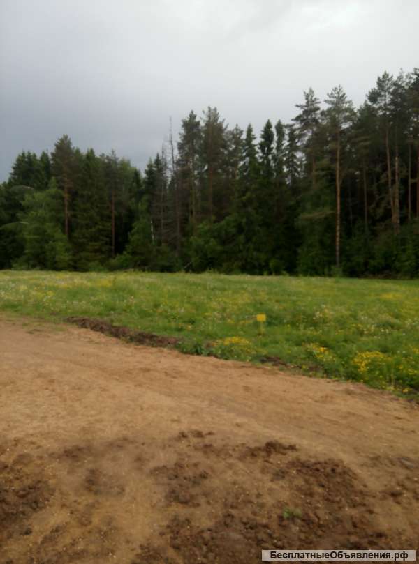 Участок дмитровское шоссе новое гришино