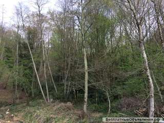 Земельный участок 540 сот в Адлерском районе