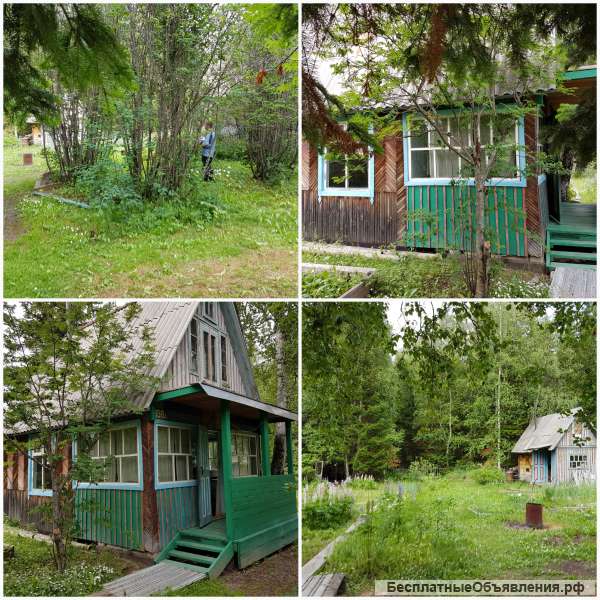 2 дачи Крючково и Водораздел
