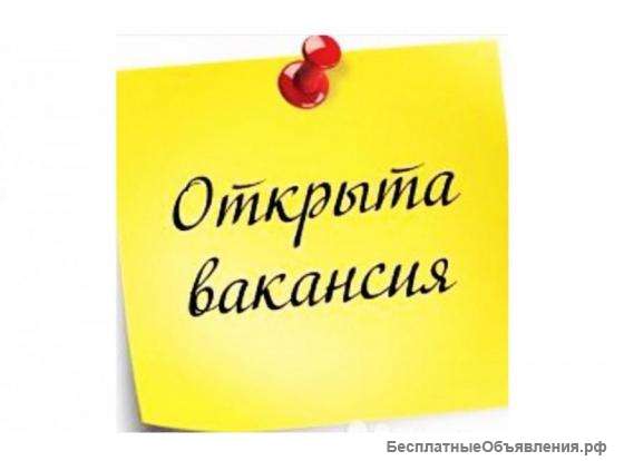 Продавец-консультант