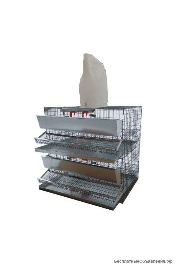 Клетка для перепелов на 40 голов