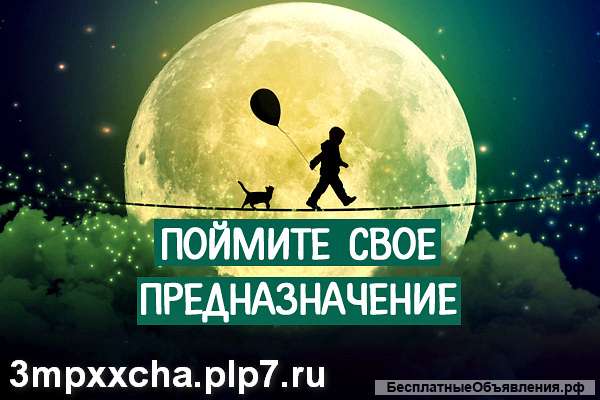 Профориентация анализ личности поиск призвания