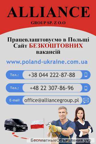 Предложения работы для вас