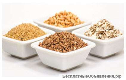 Овсяные хлопья НТВ целые, резанные