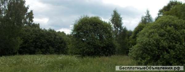 Участок 10 соток СНТ "Медвежий угол"