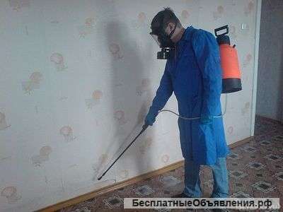 Дезинсектор