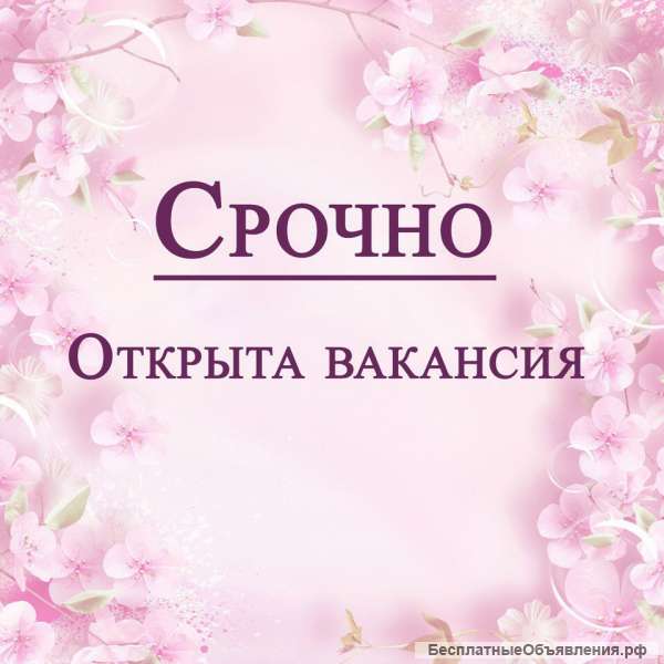 Требуются бортпроводники/стюардессы круизного лайнера