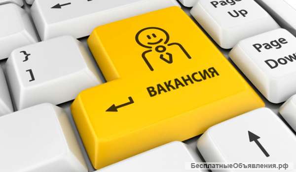Сотрудник с опытом работы бухгалтера (можно без опыта)