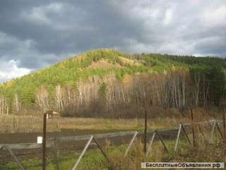 Земельный участок п.Манский СНТ Аванте