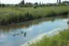 20 соток земли в Ростовской области