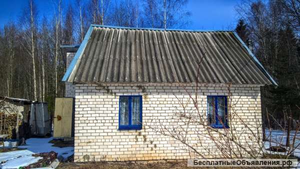 Кирпичная дача у леса, 15 соток земли, недалеко речка
