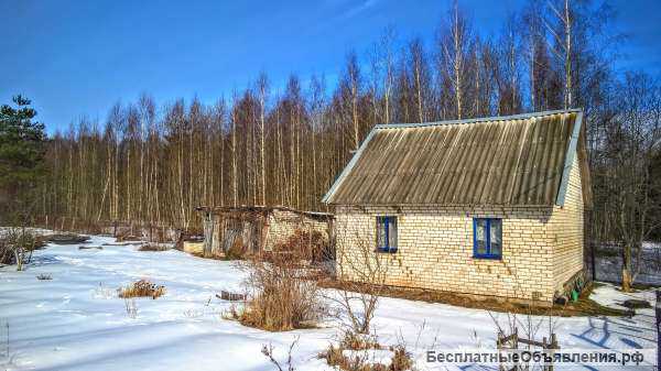 Кирпичная дача у леса, 15 соток земли, недалеко речка