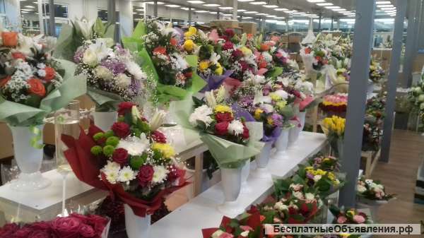 Цветы оптом и в розницу