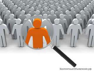 Экспресс-курс для ищущих работу в центре «Союз»