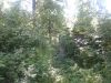 Участок ИЖС, 6 соток, Пос.Ильинский Раменского Района МО