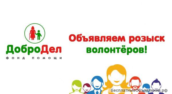 Волонтер промоутер