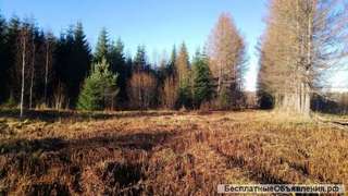 Земля в Ленинградской области