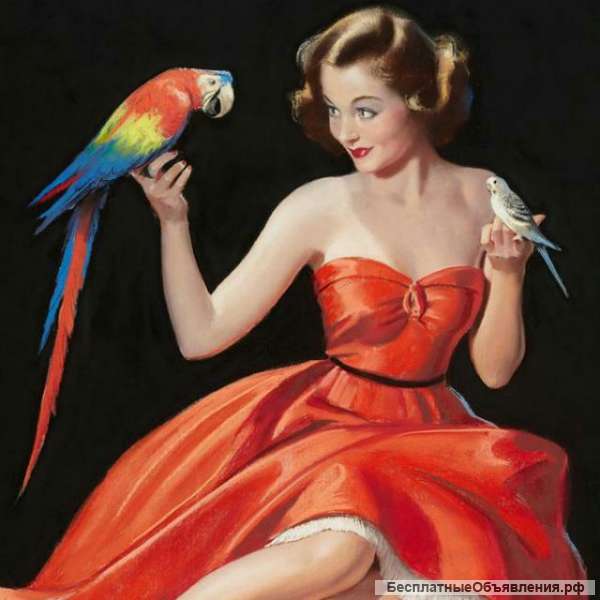 Эксперт по имиджу и обольщению