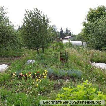 Земельный участок в черте города 5,4 соток СТ "Рассвет" в р-не п. Тихвинка