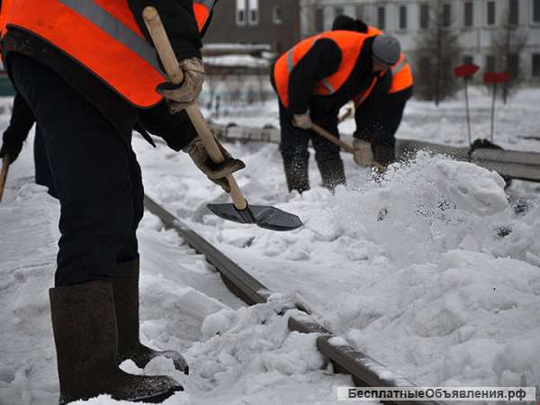 Земляные работы Демонтаж Клининг. Москва