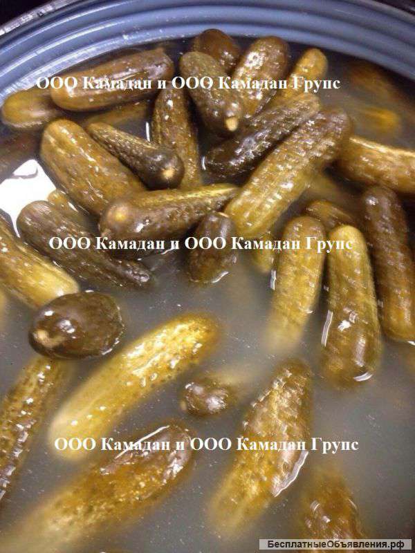 Солёные огурцы оптом