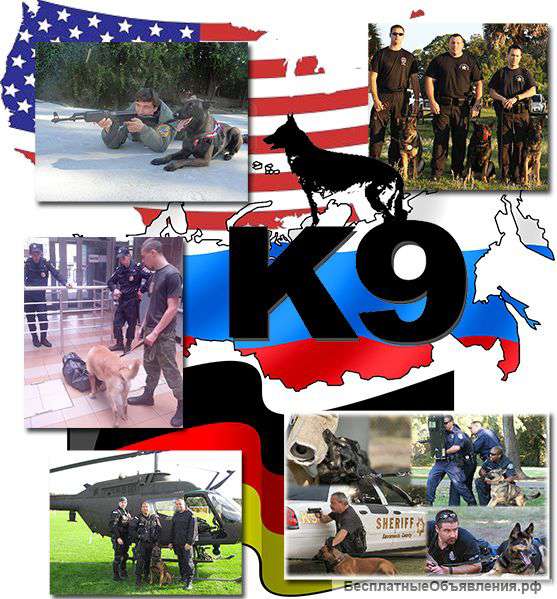 Охранник-кинолог
