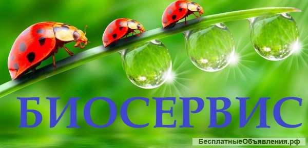 Аренда и обслуживание биотуалетов