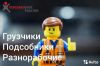 Разнорабочие