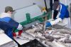 Рабочий производства