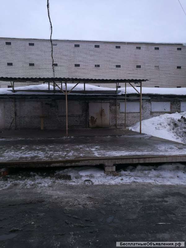 Аренда складов и холодильников