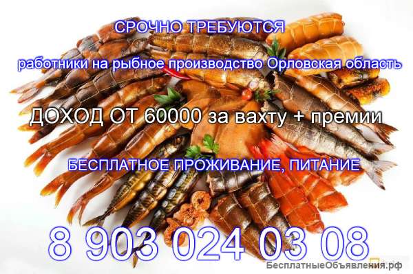 Приглашаем на работу