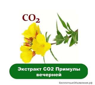 Экстракт Примулы вечерней