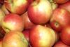 Яблоки оптом в Санкт-Петербурге