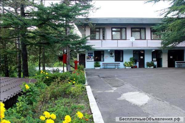 ДОЛ в Туапсинском районе