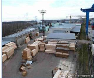 Производственное предприятие по деревообработке