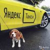Работа такси на авто компании