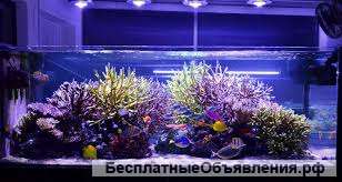 Сантехнические работы в Севастополе, Керчи и по всему Крыму