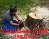 Спил деревьев удаление пней