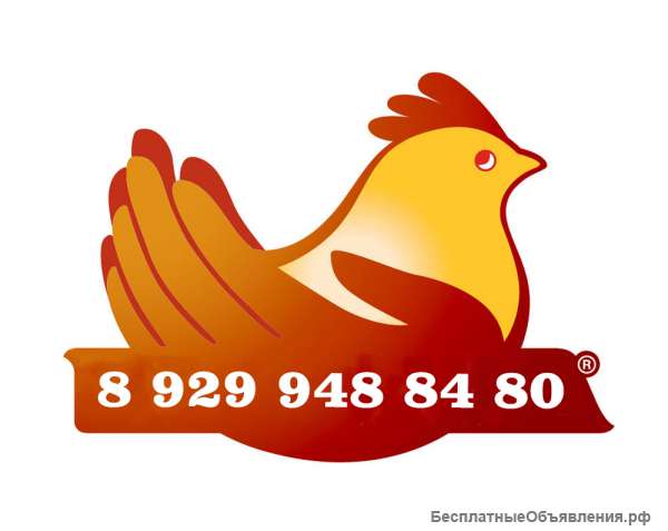 Упаковщицы и грузчики на птицефабрику