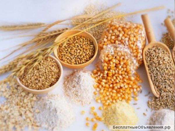 Все виды круп