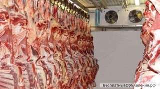 Морозильная камера для мяса -18С В наличии