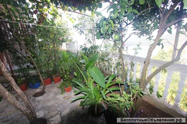 Два дома общей площадью 200 м2, вблизи от моря, Будва, Сеоце, Черногория