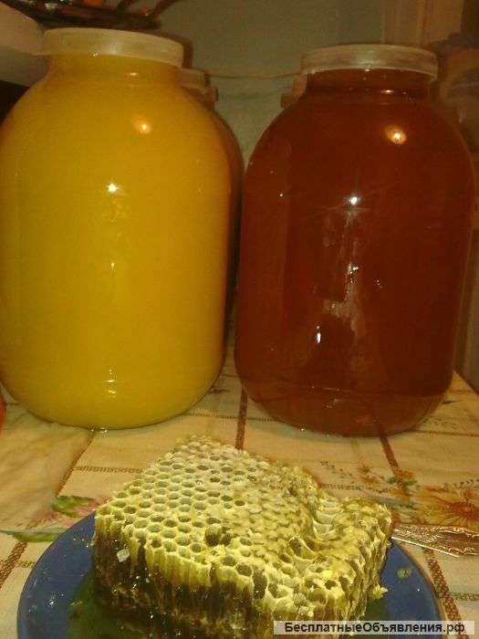 Мед оптом с пасеки