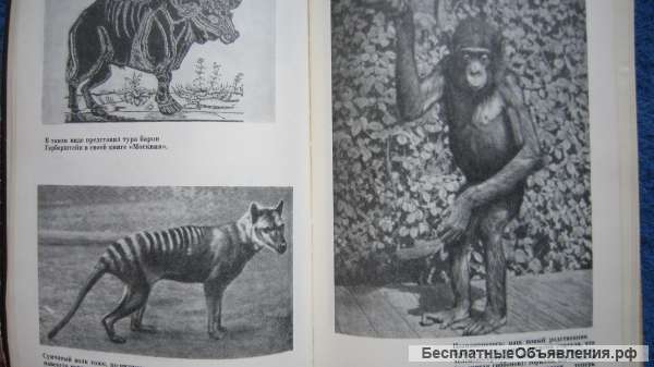 Игорь Акимушкин - Трагедия диких животных - Книга - 1969