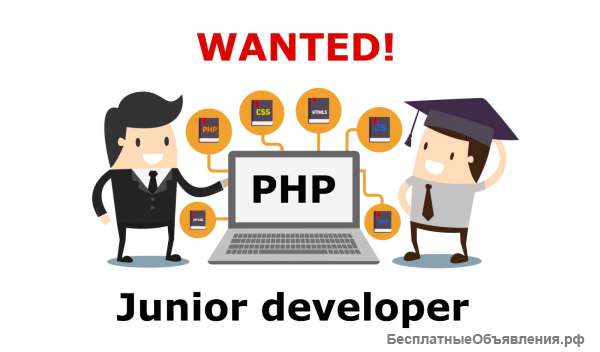 Junior PHP developer