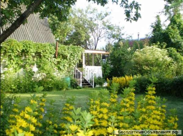 Дом (дача) в Татищево